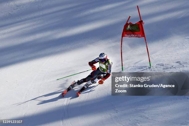 Henrik Kristoffersen of Team Norway takes 1st place during the Audi FIS Alpine Ski World Cup Men's Giant Slalom in March 13, 2022 in Kranjska Gora...