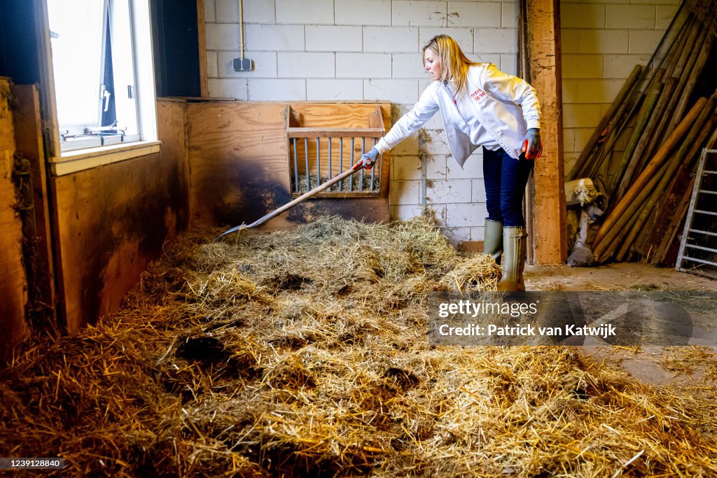 King Willem-Alexander Of The Netherlands And Queen Maxima Volunteers During The NLDoet In Brielle