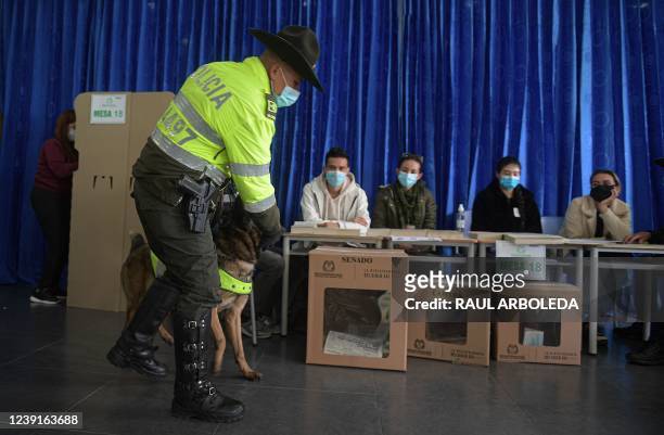 Police officer member of an anti-explosives unit with a sniffer dog searches for explosives at a polling station before the arrival of Colombian...