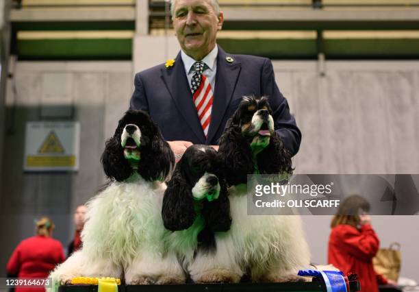 Man poses for a photograph with his American Cocker Spaniel dogs at the end of the final day of the Crufts dog show at the National Exhibition Centre...