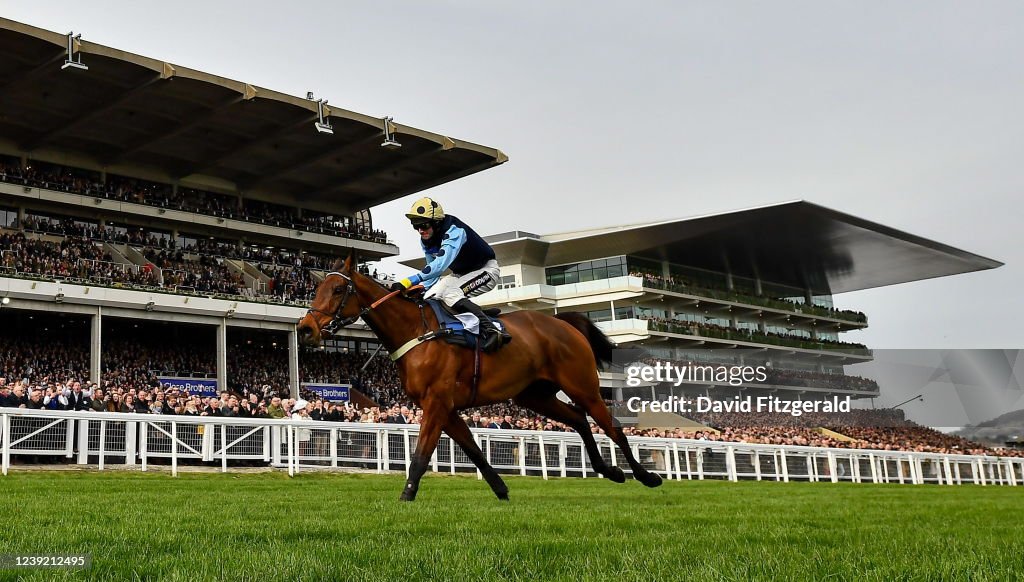 Cheltenham Racing Festival - Champion Hurdle Day