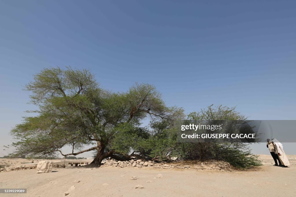 BAHRAIN-ENVIRONMENT