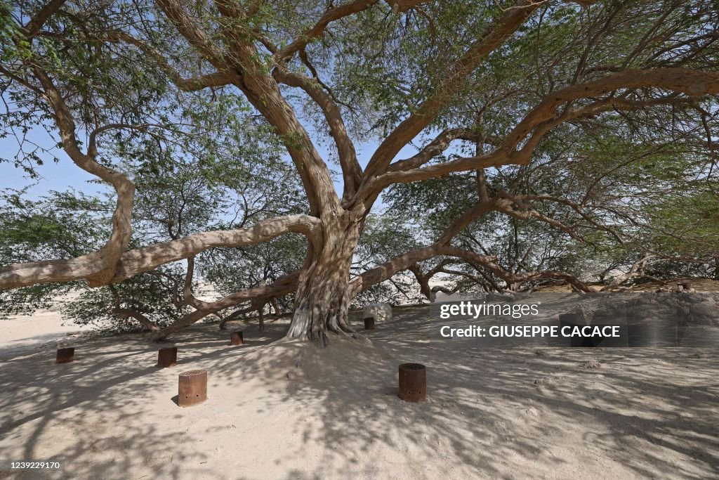 BAHRAIN-ENVIRONMENT