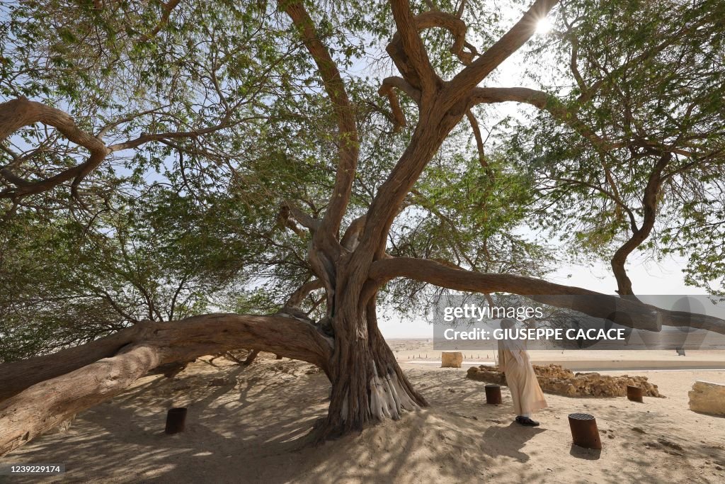 BAHRAIN-ENVIRONMENT