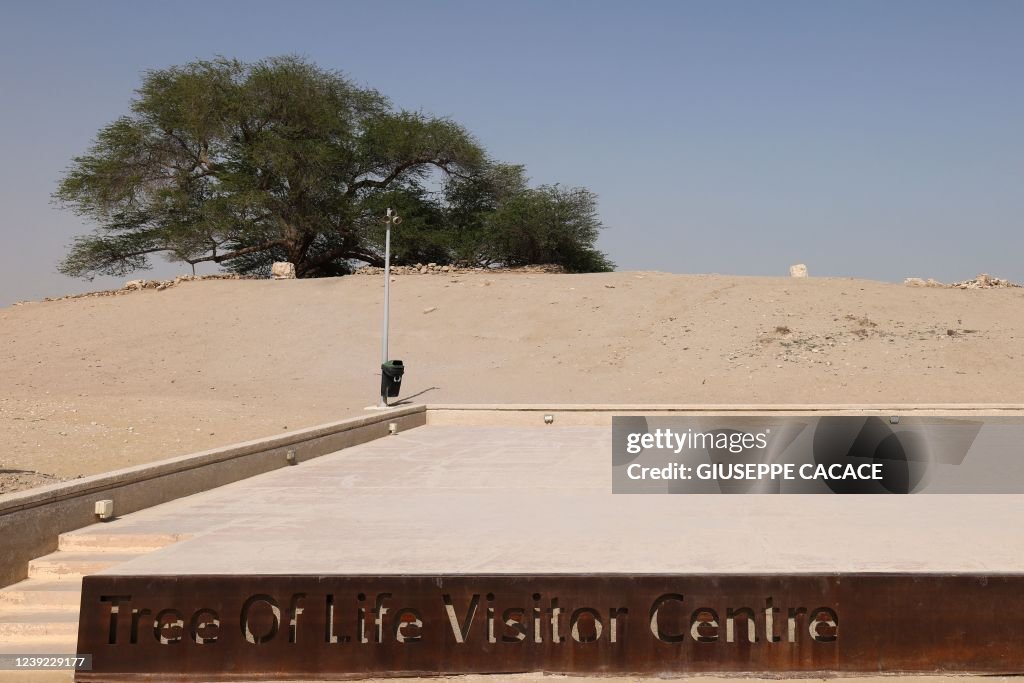 BAHRAIN-ENVIRONMENT
