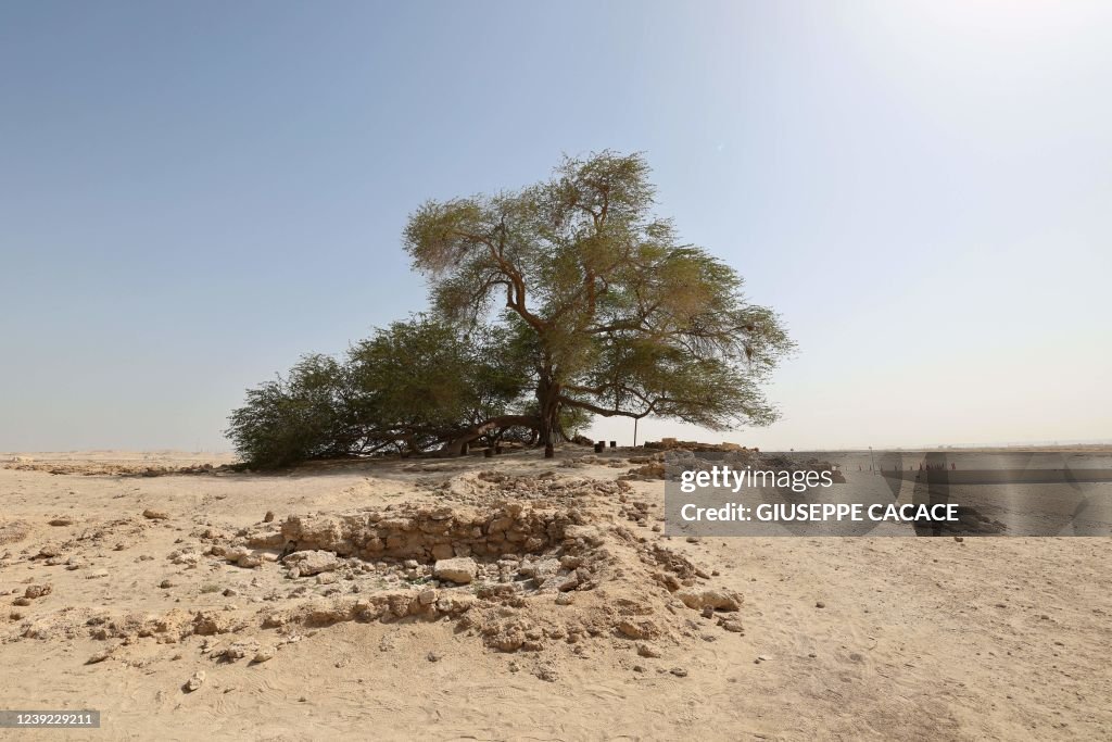 BAHRAIN-ENVIRONMENT