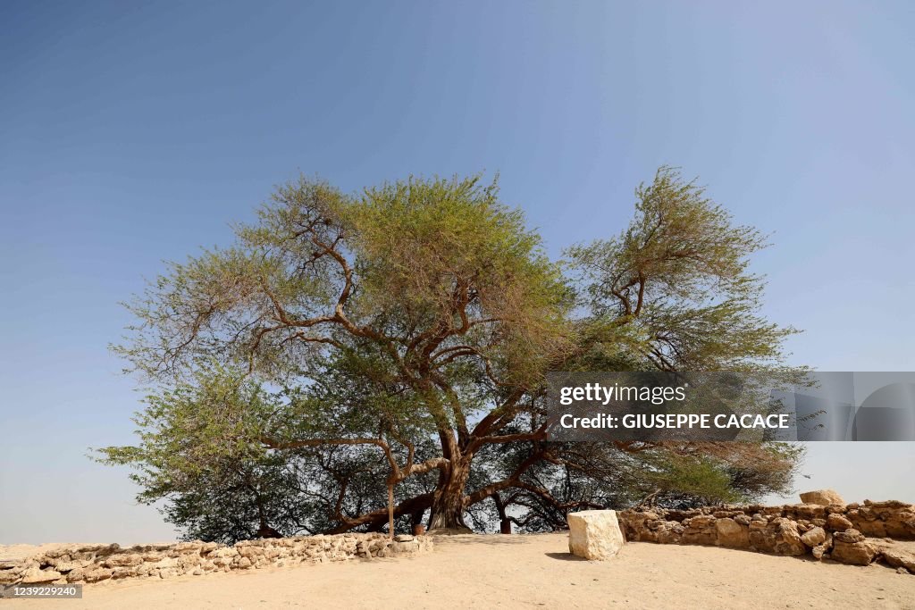 BAHRAIN-ENVIRONMENT