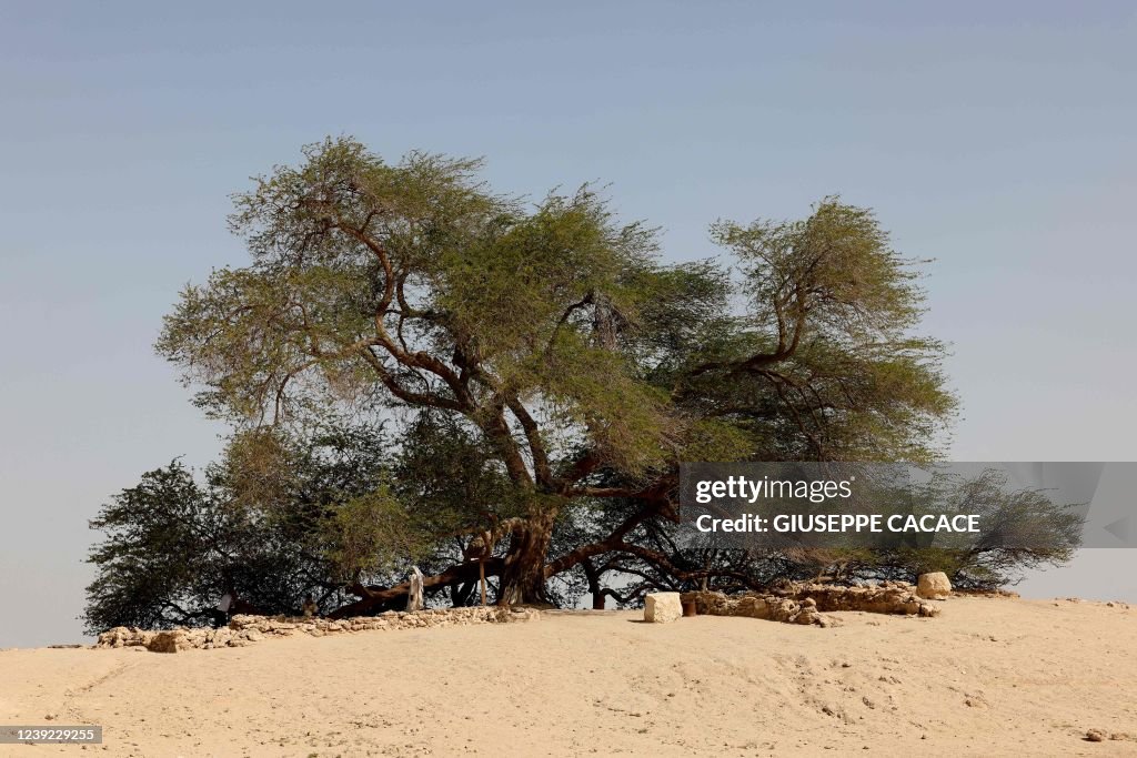 BAHRAIN-ENVIRONMENT