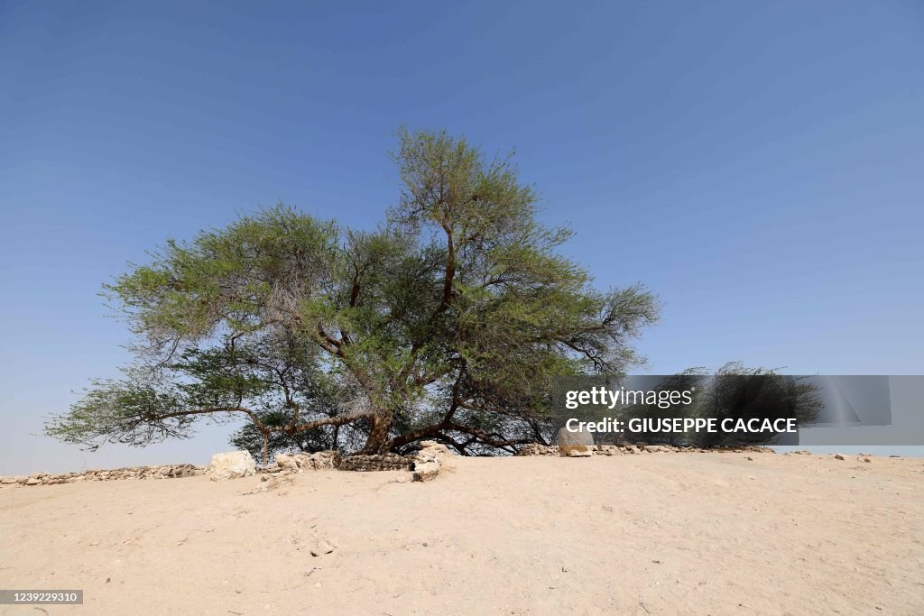 BAHRAIN-ENVIRONMENT