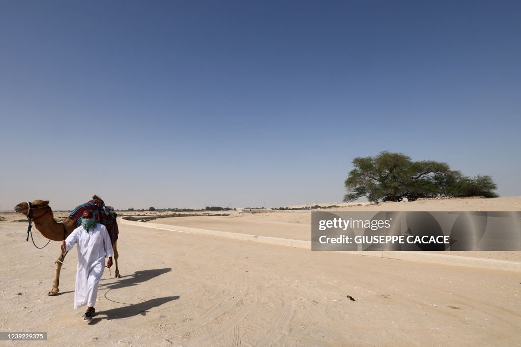 BAHRAIN-ENVIRONMENT