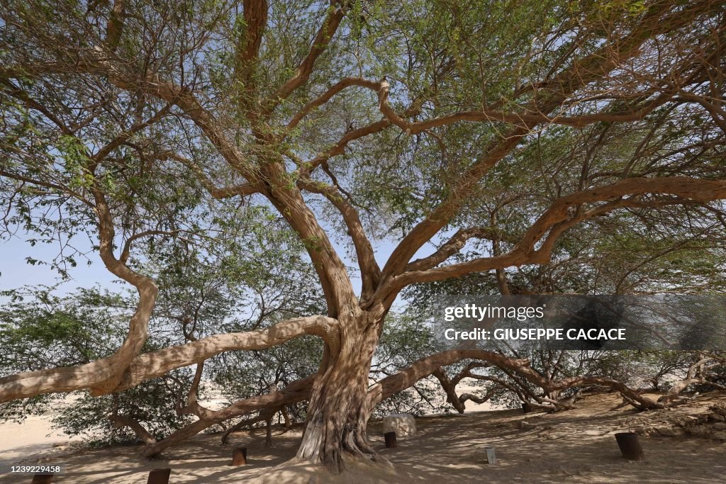 BAHRAIN-ENVIRONMENT