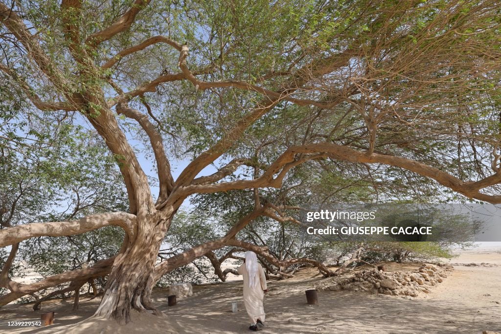BAHRAIN-ENVIRONMENT