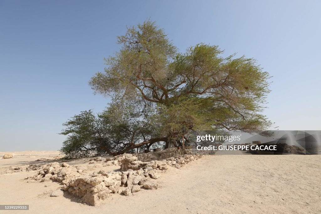 BAHRAIN-ENVIRONMENT