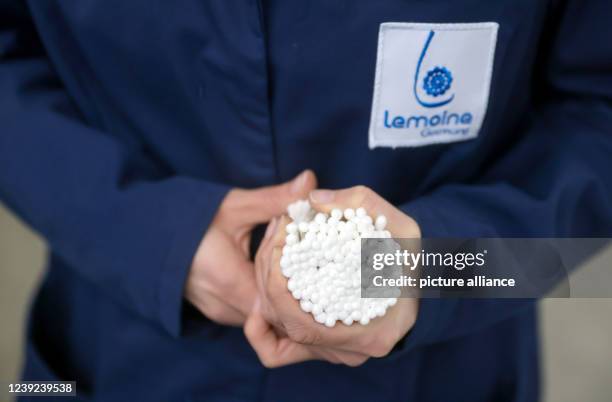 March 2022, Saxony, Oederan: An employee holds a bundle of cotton swabs in her hands in production at market leader Lemoine. The company, which...