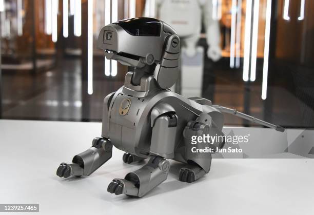 General view of SONY AIBO displayed during the press preview for 'You And Robots - What Is It To Be Human?' at National Museum of Emerging Science...