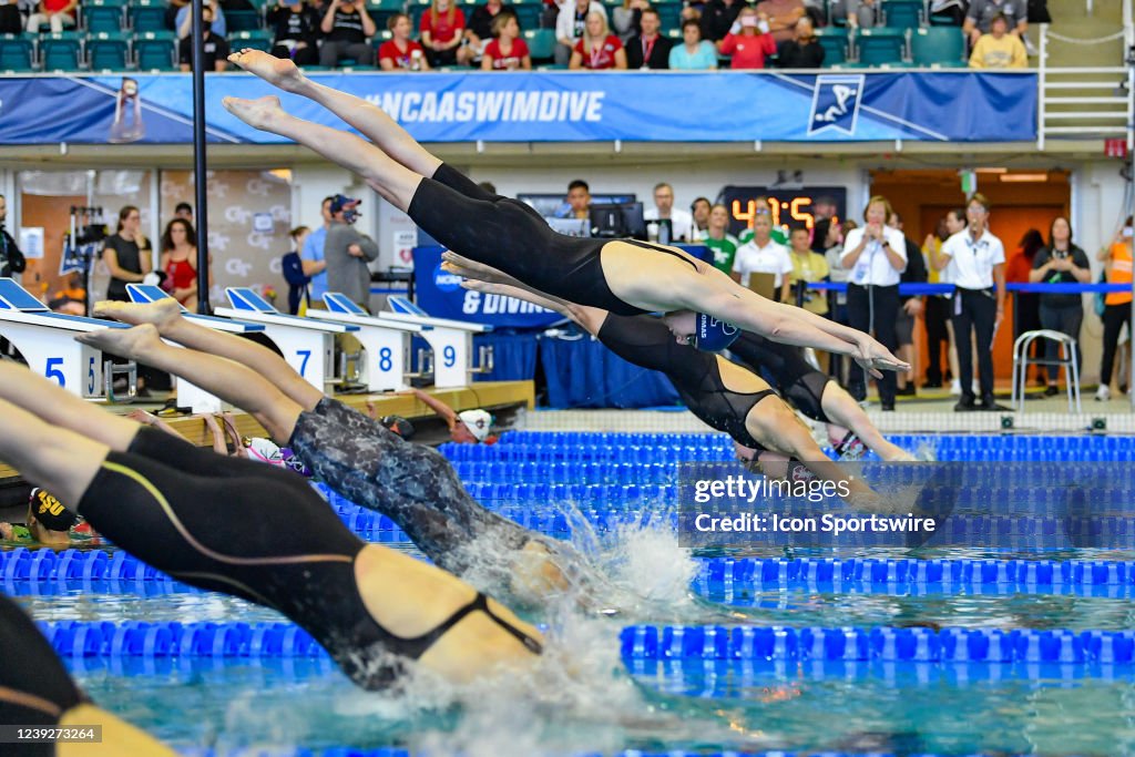 NCAA SWIMMING: MAR 17 Women's Swimming & Diving Championships