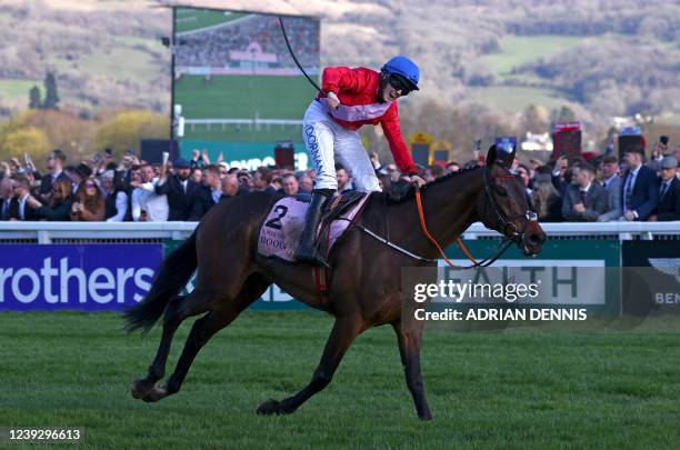 Jockey Rachael Blackmore celebrates on horse 'A Plus Tard' after winning the Cheltenham Gold Cup Chase race on the final day of the Cheltenham...