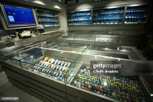 View from the shell collection of Azerbaijani collector Kamandar Nasibov in Baku, Azerbaijan on March 12, 2022. Kamandar Nasibov, an Azerbaijani...