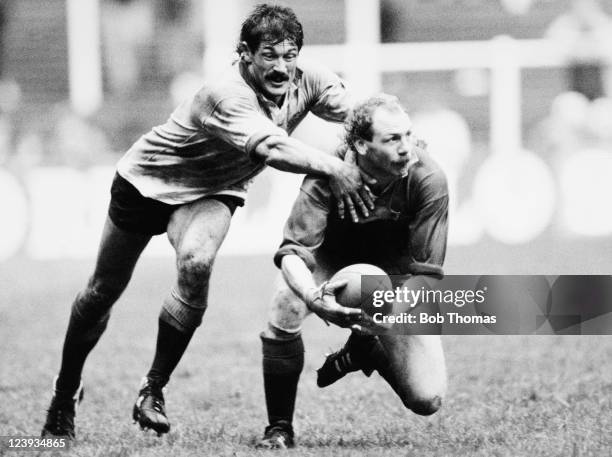 Muarry Nexted 16 Lions Rugby 1986 Photos & High Res Pictures - Getty Images