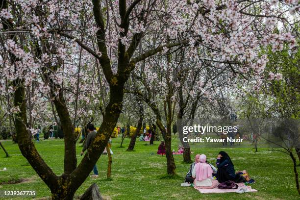 Locals enjoy blooming almond blossom, in the Baadam Vaer or the Almond Alcove, during spring bloom, on March 20 , 2022 in Srinagar, the summer...