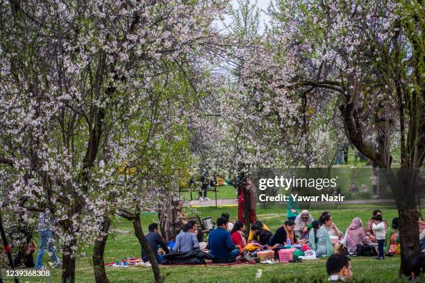 Locals enjoy blooming almond blossom, in the Baadam Vaer or the Almond Alcove, during spring bloom, on March 20 , 2022 in Srinagar, the summer...