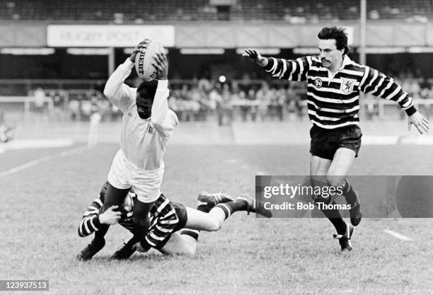 Alan Rees (Rugby) Photos and Premium High Res Pictures Getty Images