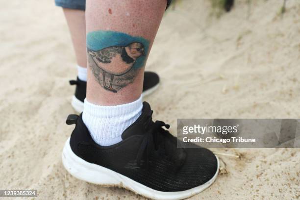 Tattoo of Rose, an endangered Great Lakes piping plover, is inked on the leg of Dori Levine, a volunteer for the U.S. Fish and Wildlife Service, as...