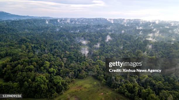 Aerial photo taken on March 21, 2022 shows forests in Khao Yai National Park, Thailand. Khao Yai National Park is the first national park in...