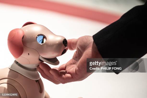 Visitor interacts with an "Aibo" robot dog by Sony during the "You and Robots ? What is it to be Human?" exhibition at the National Museum of...