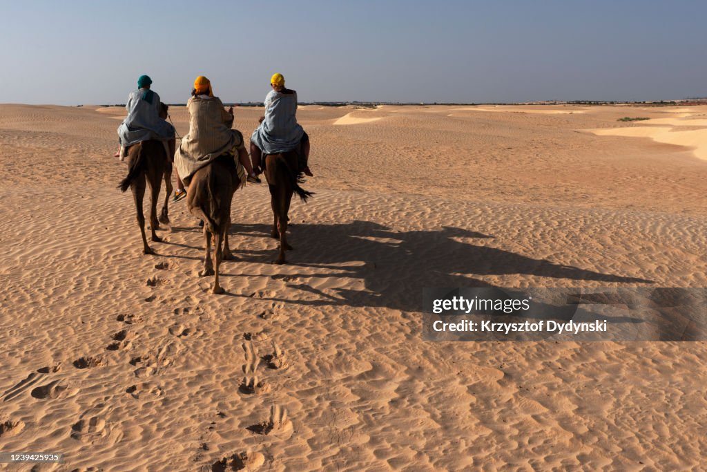Camel riders around Zaafrane near Douz, Tunisia
