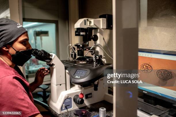 The manager of BioArt Fertility Clinics lab prepares thawed blastocysts during an in-vitro fertilisation process in Johannesburg, on February 22,...