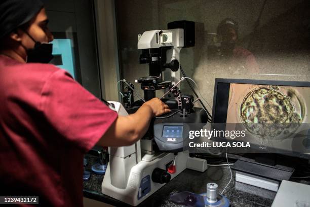 The manager of BioArt Fertility Clinics lab prepares thawed blastocysts during an in-vitro fertilisation process in Johannesburg, on February 22,...