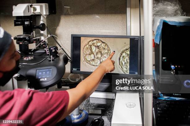 The manager of BioArt Fertility Clinics lab prepares thawed blastocysts during an in-vitro fertilisation process in Johannesburg, on February 22,...