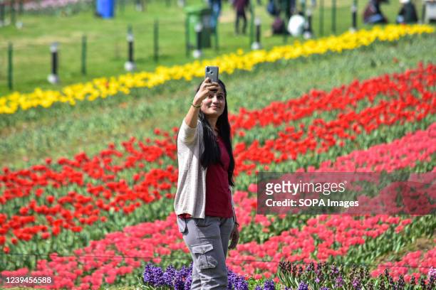 An Indian tourist girl takes a selfie at Asia's largest tulip garden in Srinagar. Asia's largest tulip garden, housing 1.5 million tulips of 68...