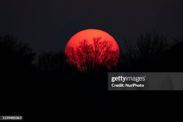 Sunset in Meerhoven, near Eindhoven in the Netherlands. View of the setting sun behind the silhouettes of trees and the colorful cloudless sky in the...