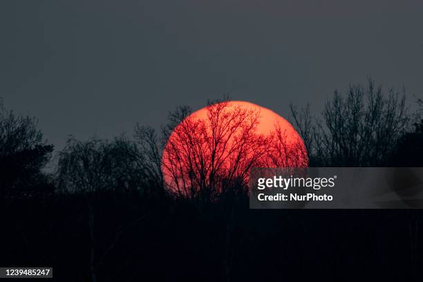 Sunset in Meerhoven, near Eindhoven in the Netherlands. View of the setting sun behind the silhouettes of trees and the colorful cloudless sky in the...