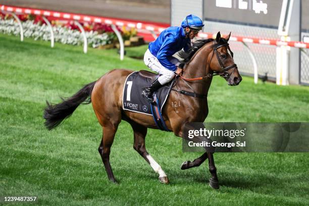 Trekking ridden by Damien Oliver heads to the barriers before the running of the 3 Point Motors William Reid Stakes at Moonee Valley Racecourse on...