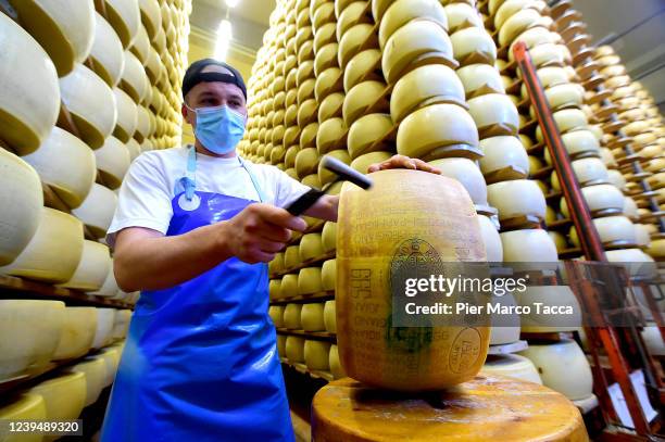 Dairyman wearing a protective mask hits a wheel of Parmigiano Reggiano with a hammer to check the quality during the seasoning in the storage...