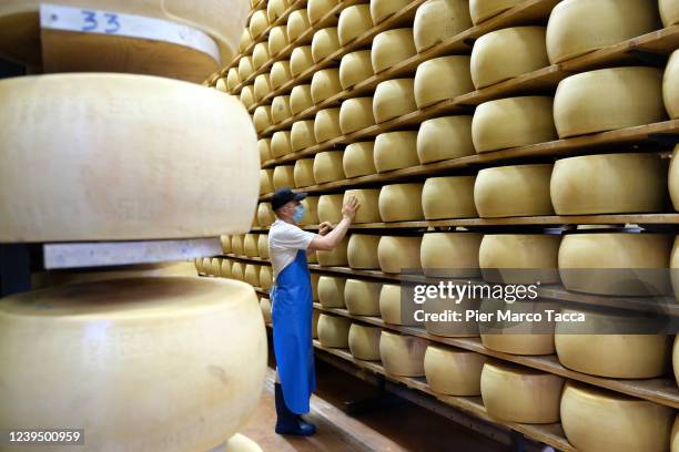 Dairyman wearing a protective mask moves a wheel of Parmigiano Reggiano in the storage warehouse of Latteria La Grande on May 30, 2020 in Castelnovo,...