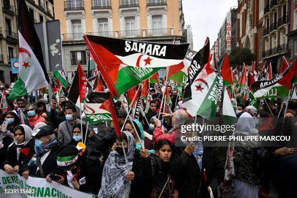 Demonstrators wave Western Sahara flags during a protest against the Spanish government support for Morocco's autonomy plan for Western Sahara, in...