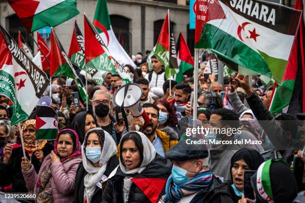 Saharawi community and supporters are seen waving flags and shouting slogans during a demonstration in front of the Ministry of Foreign Affairs....