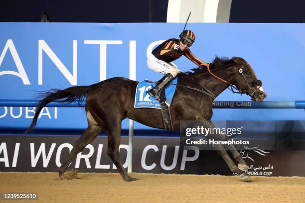 Meydan Races Dubai World Cup Horse Race Photos and Premium High Res Pictures - Getty ...
