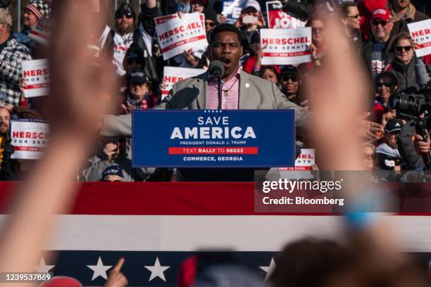 Herschel Walker, Republican senate candidate for Georgia, speaks at a campaign event headlined by former President Donald Trump in Commerce, Georgia,...