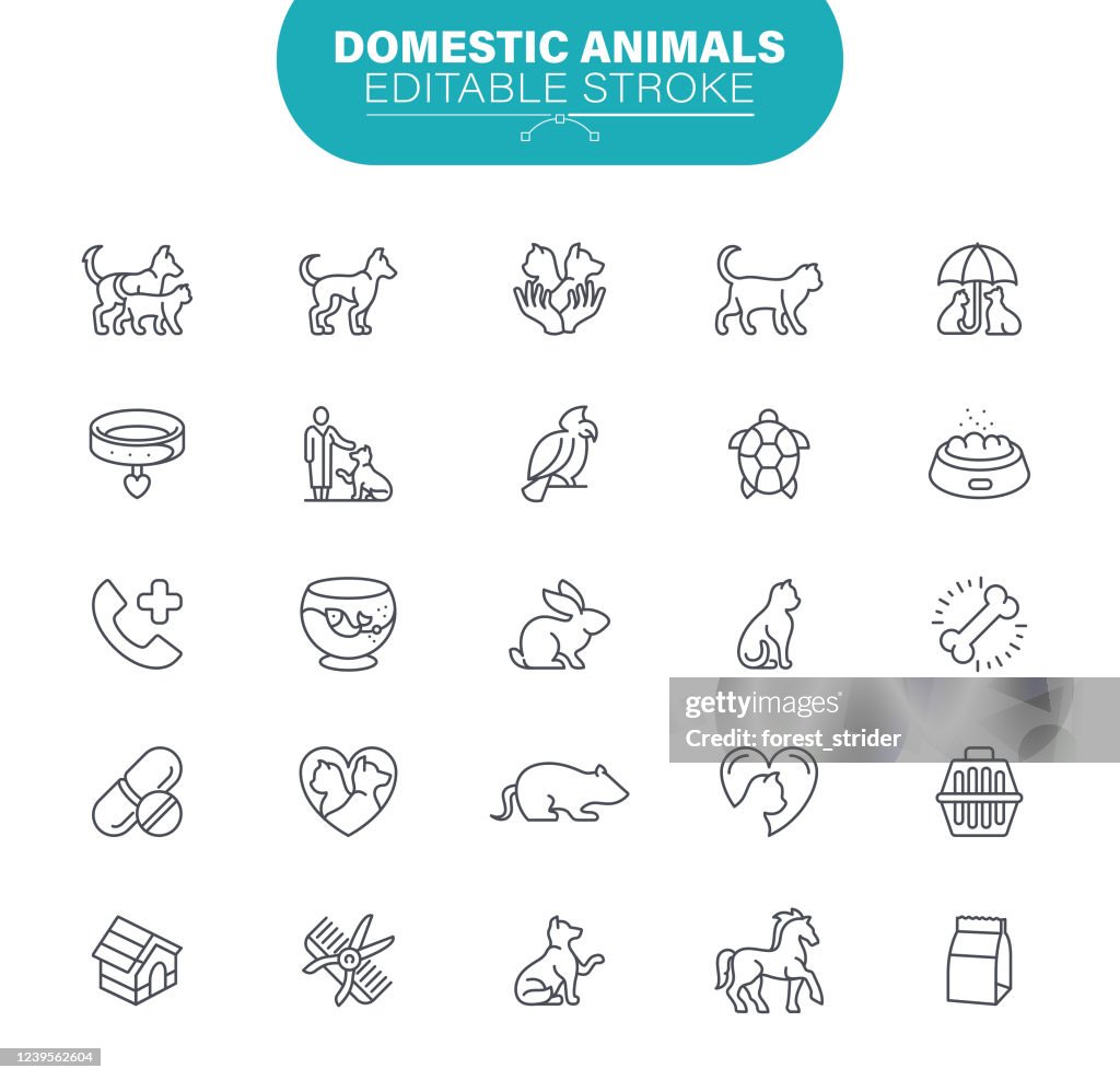 Domestic Animals. Set contains symbol as Veterinary, Animal, Cat, Dog, Illustration