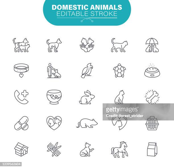 domestic animals. set contains symbol as veterinary, animal, cat, dog, illustration - human hand pet paw stock illustrations