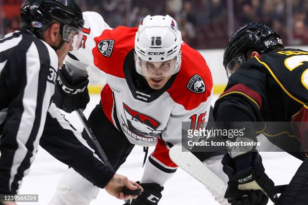 Charlotte Checkers center Alexander True prepares to take a faceoff during the third period of the American Hockey League game between the Charlotte...