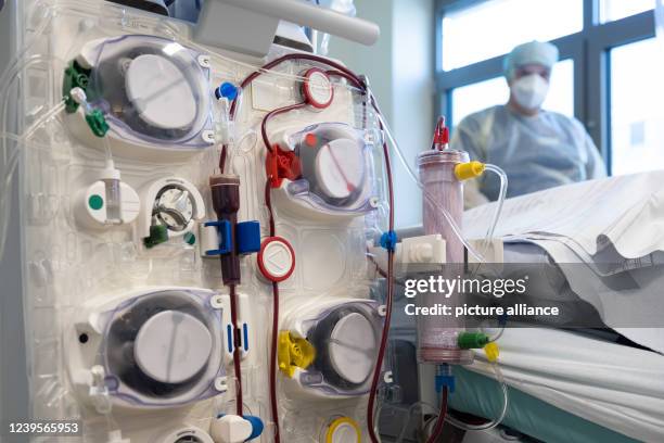 March 2022, Lower Saxony, Osnabrück: A nurse stands at the bedside of an intensive care patient behind a dialysis machine. Patients with severe...