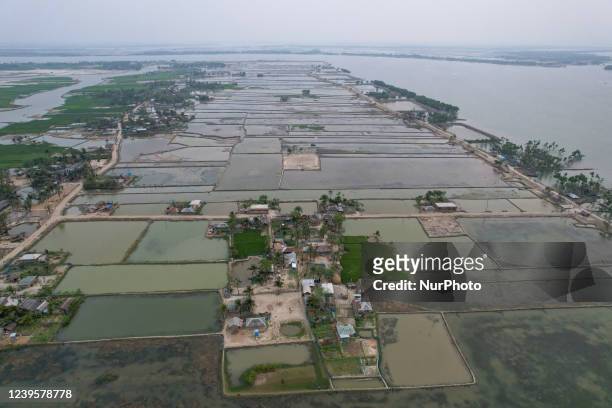 Salinity effect seen in soil as a result trees has died after Cyclone amphan hit in Satkhira, Bangladesh on March 26, 2022.
