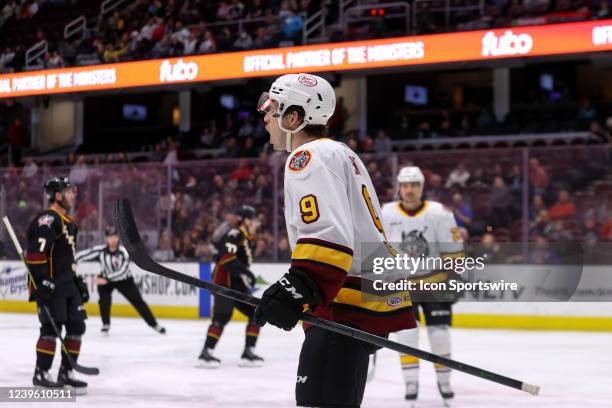 Chicago Wolves left wing CJ Smith celebrates after scoring a goal during the third period of the American Hockey League game between the Chicago...