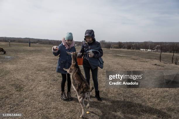 605 Animal Assisted Therapy Photos and Premium High Res Pictures - Getty Images 605 Animal Assisted Therapy Photos and Premium High Res Pictures - Getty Images